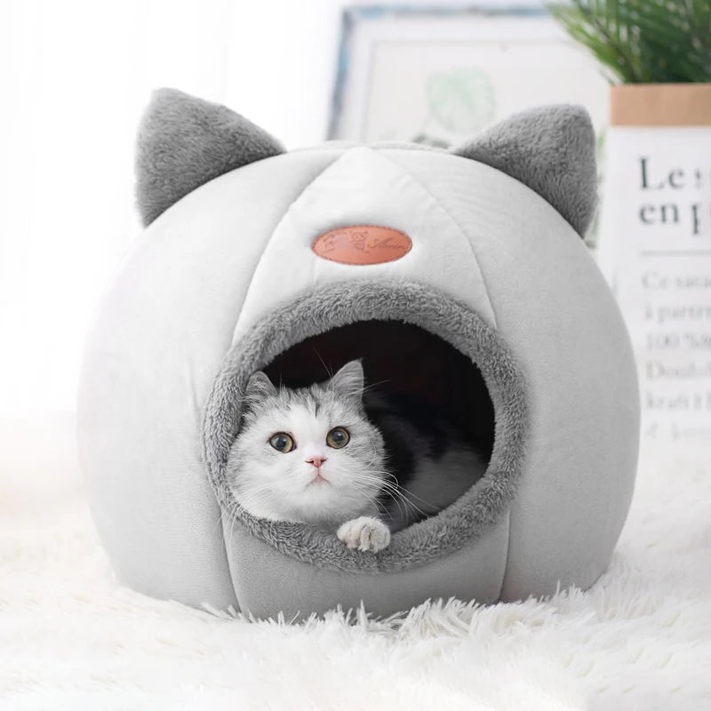 Cat Cave Home