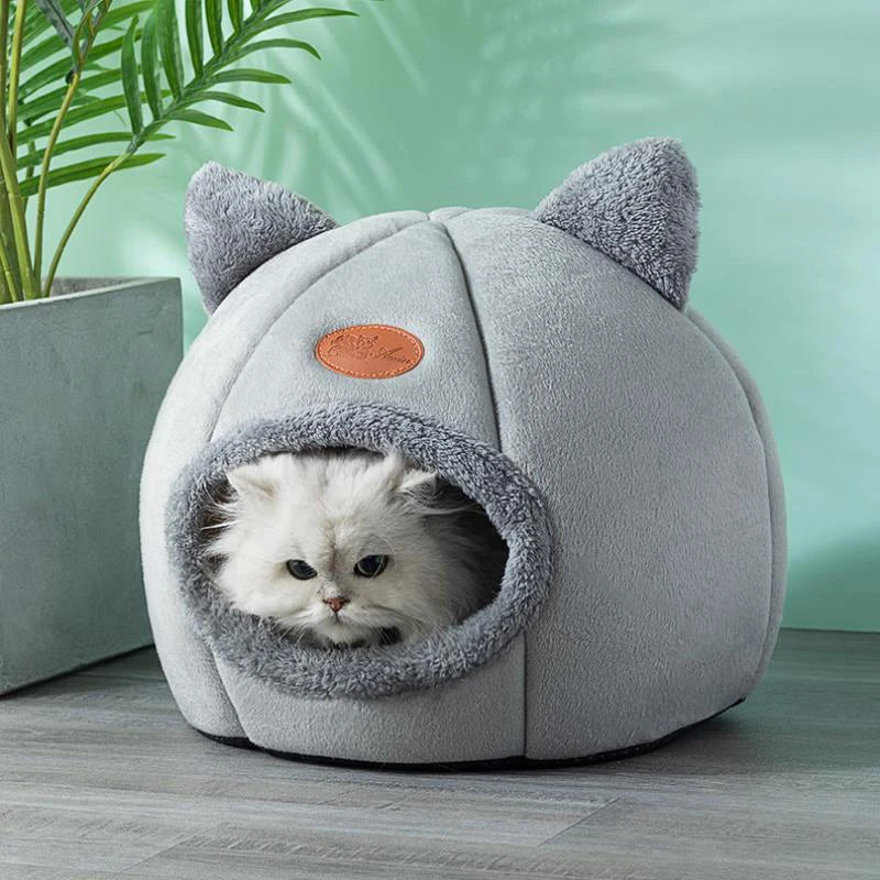 Cat Cave Home