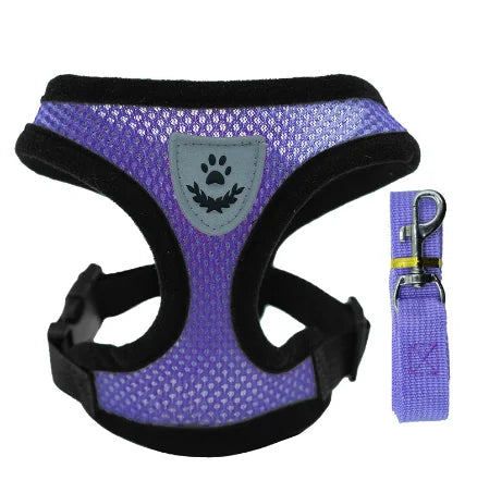 Cat Harness