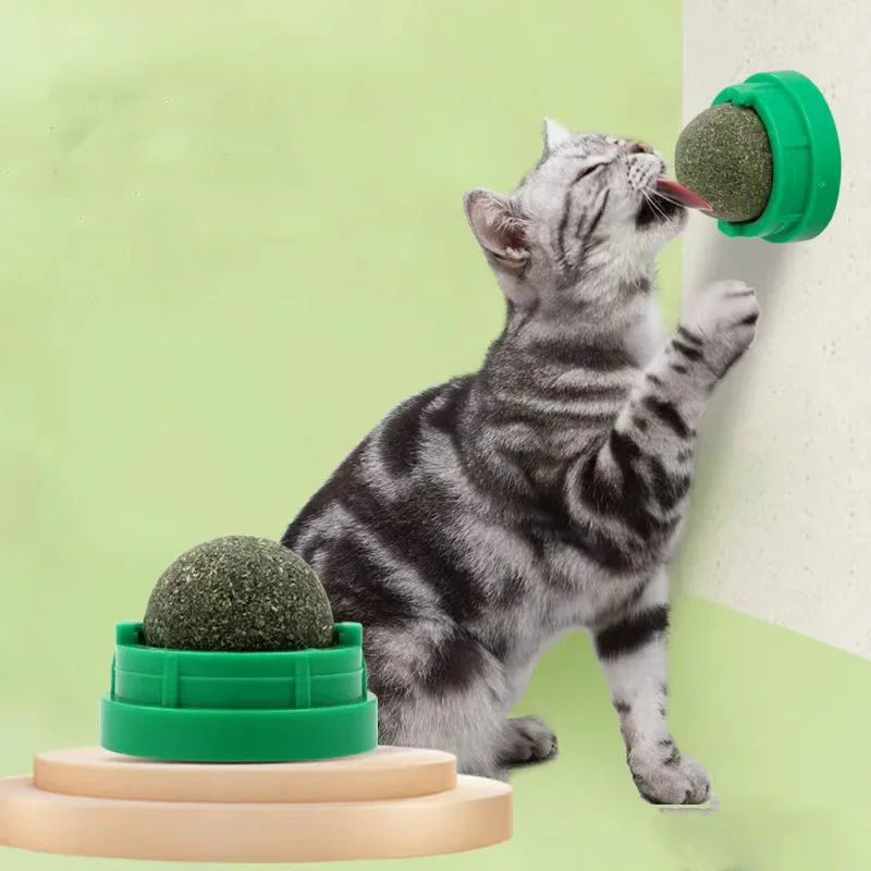 PurrBoost Catnip Wall Ball