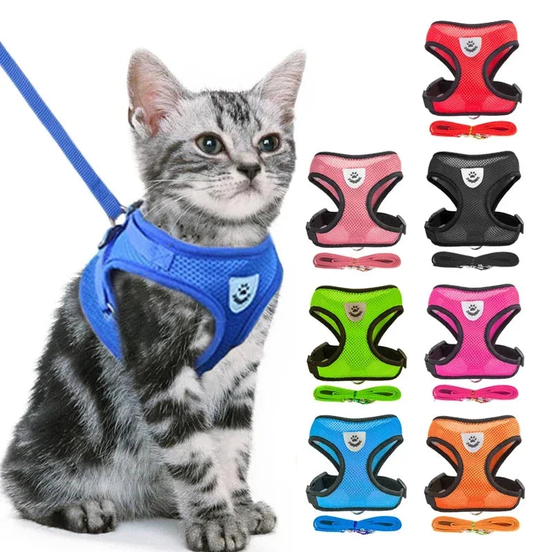 Cat Harness