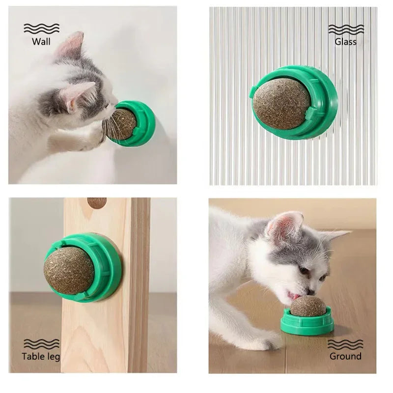 PurrBoost Catnip Wall Ball