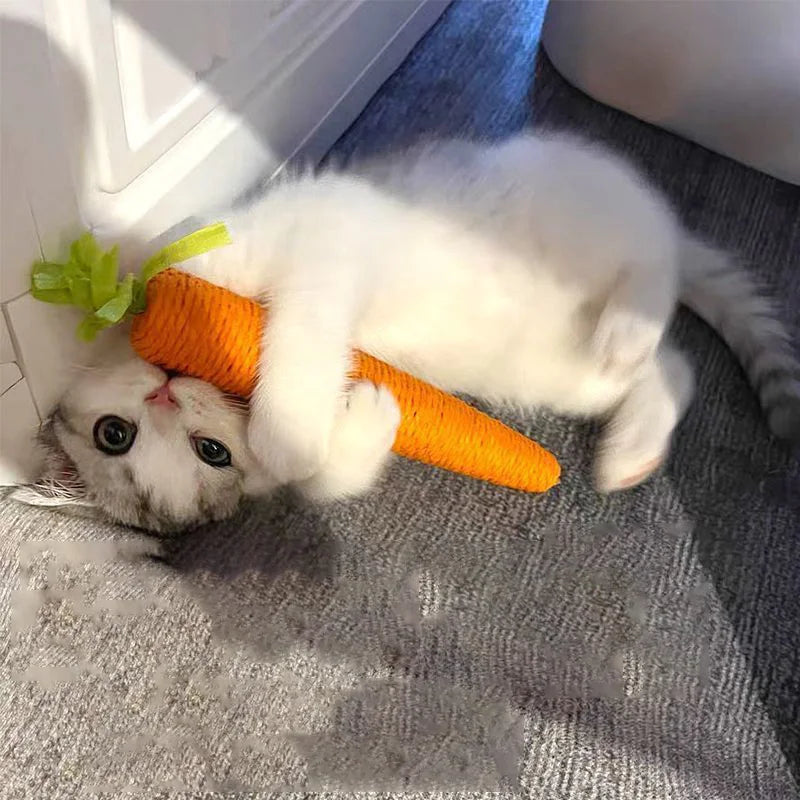 Crinkle Carrot Cat Toy