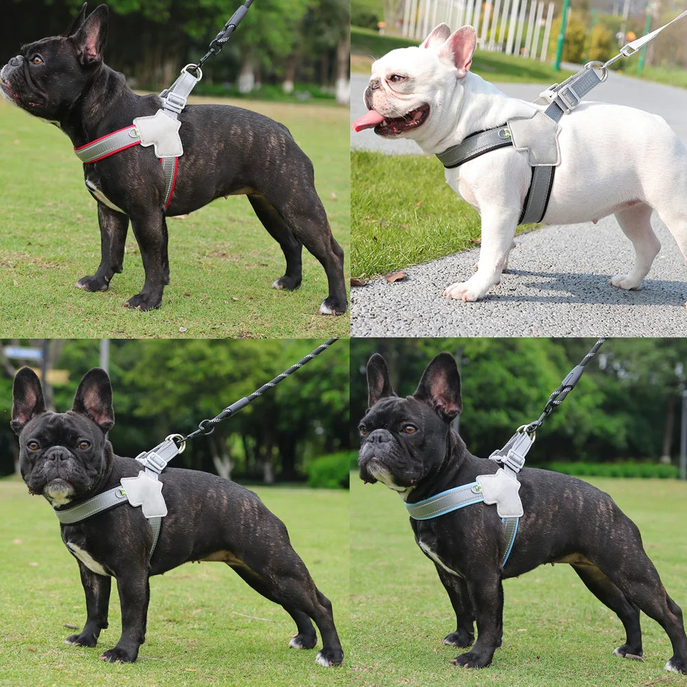 Adjustable  Pet Harness