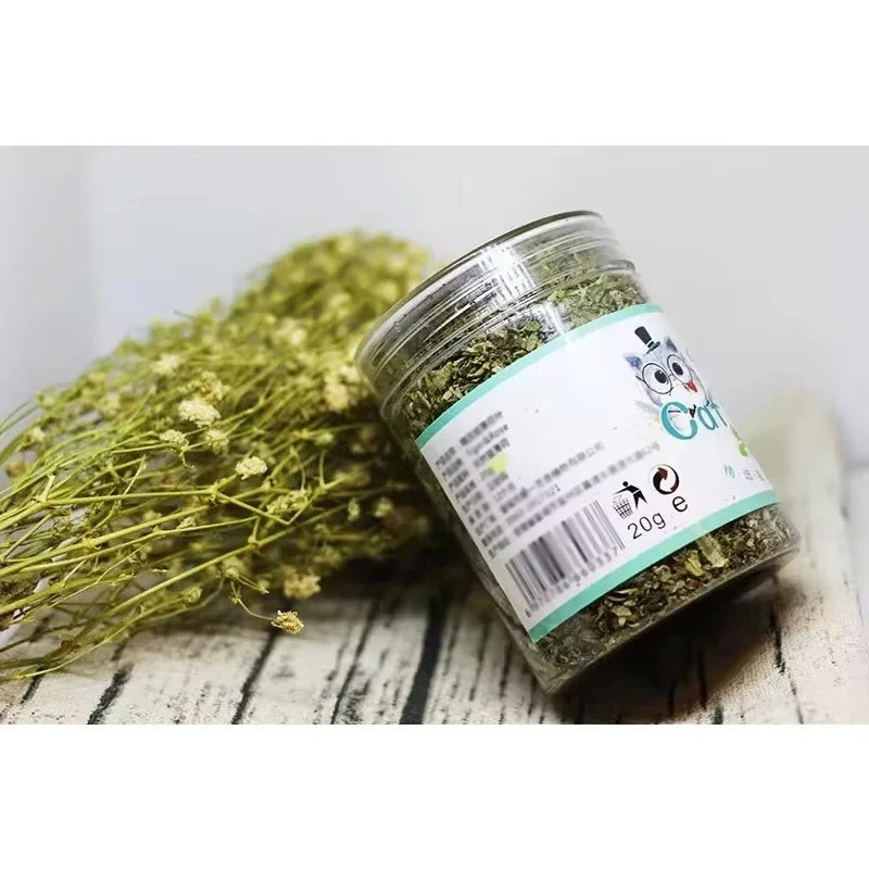 PureMint Organic Catnip