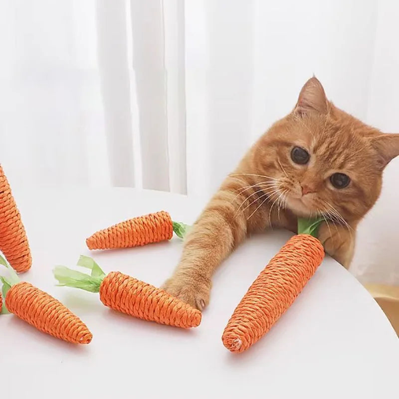 Crinkle Carrot Cat Toy